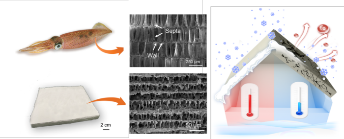 640 (44).png 640 (44).png